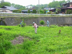 老人クラブの人たちが自主的に草刈り