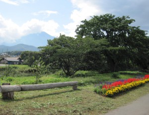 岩手山、サイカチ、手づくりベンチと花壇