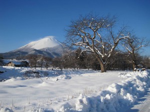 松のとれた８日、ようやく岩手山が見えた！