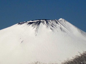 さて、なんに見えるかな？