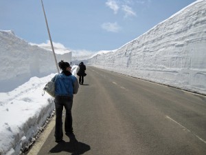 山頂付近の最も高い雪の壁。いつもなら8ｍぐらい！