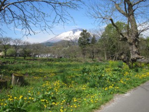 岩手山を背景に小さなパラダイス（瀬音のＢＧＭも！）