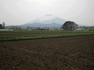 水入れ前の田園風景