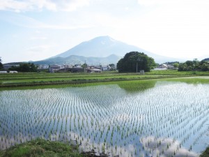 水を入れると一変。苗が植われば誰でも分かるが！