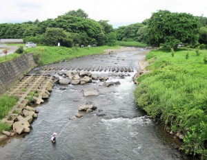 事務所前の松川では連日釣り人。夏の川風が自慢！