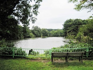 体を張って残した湯沢中央公園に残る緑